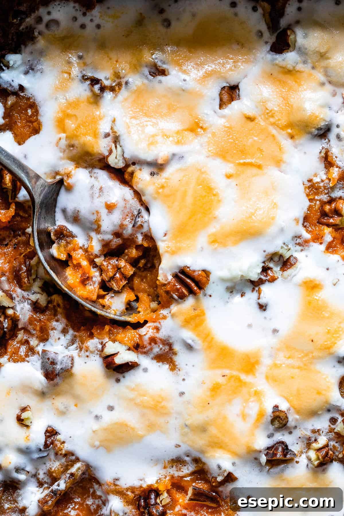 Golden Sweet Potato Delight 3 Sweet potato casserole, ready to be served, showing its creamy texture and rich topping.