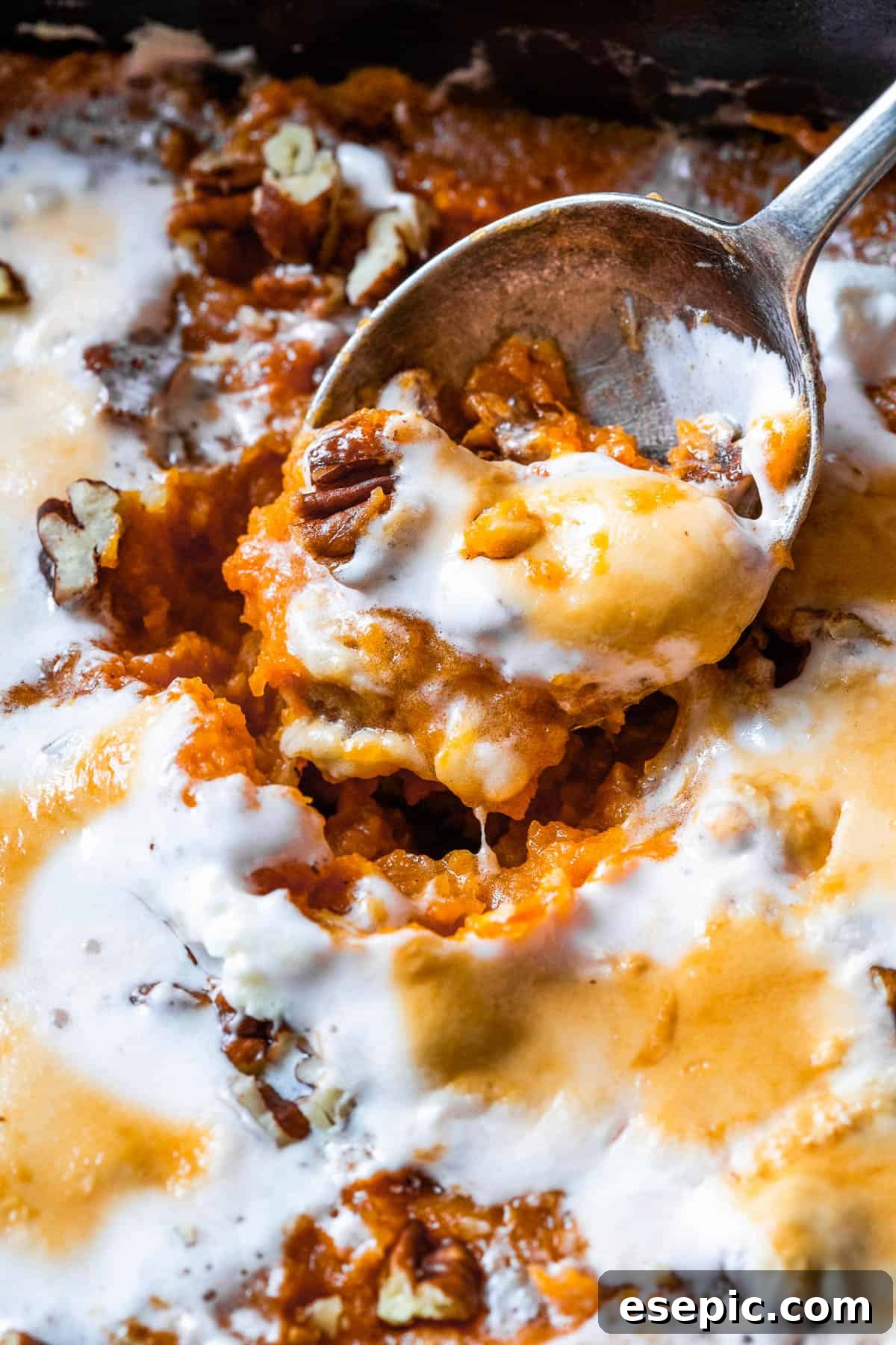 Golden Sweet Potato Delight 6 A close up shot of sweet potato casserole, highlighting the creamy texture and perfectly melted, golden-brown marshmallow topping.