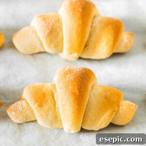 A row of crescent rolls on a parchment-lined baking sheet.