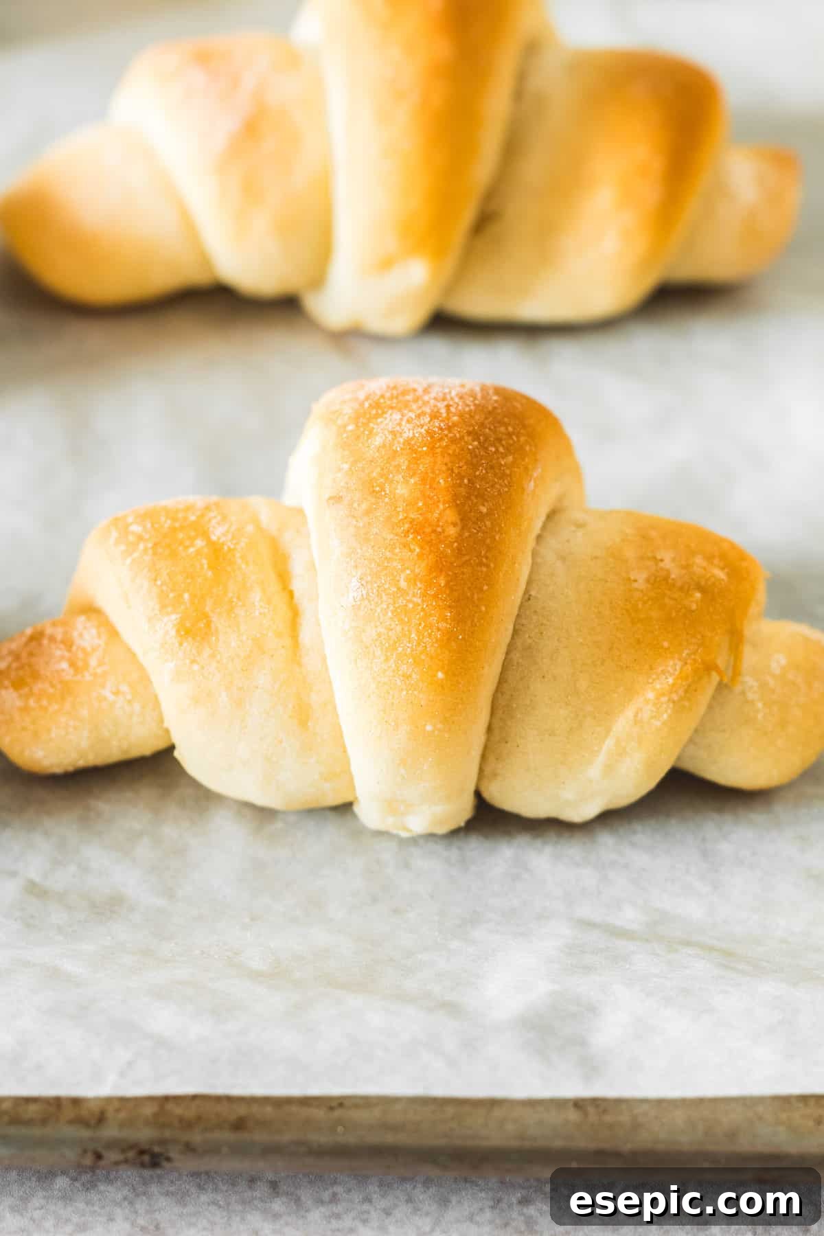 Close-up shot of two freshly baked crescent rolls, perfectly shaped and golden brown.