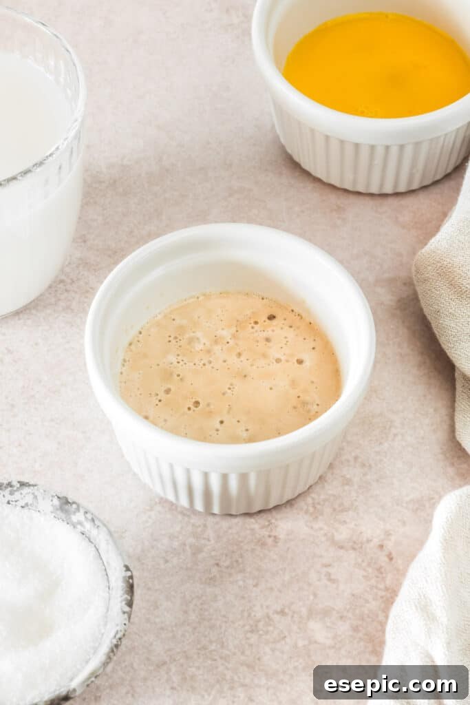 Yeast and warm water, bubbling gently in a small ramekin, indicating activation.