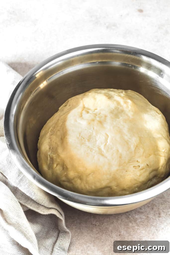 A stainless steel mixing bowl with a perfectly risen, soft ball of dough after its first fermentation.
