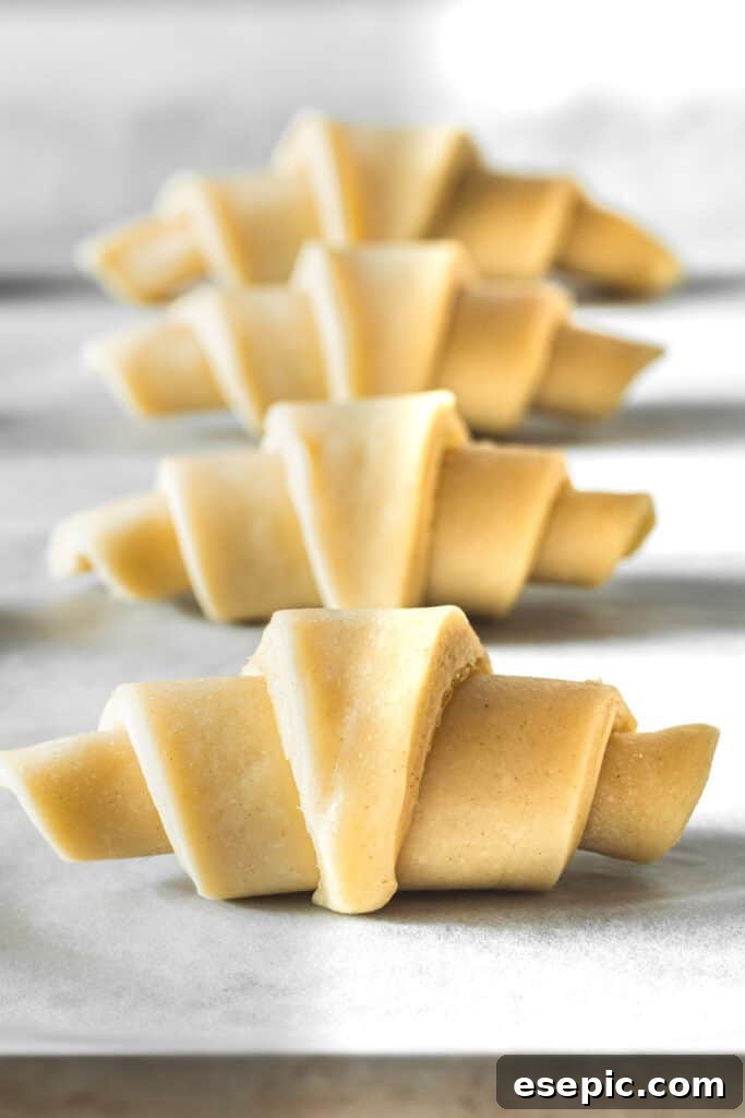 Raw dough expertly rolled and shaped into perfect crescents, arranged on a baking sheet, awaiting their final rise and bake.