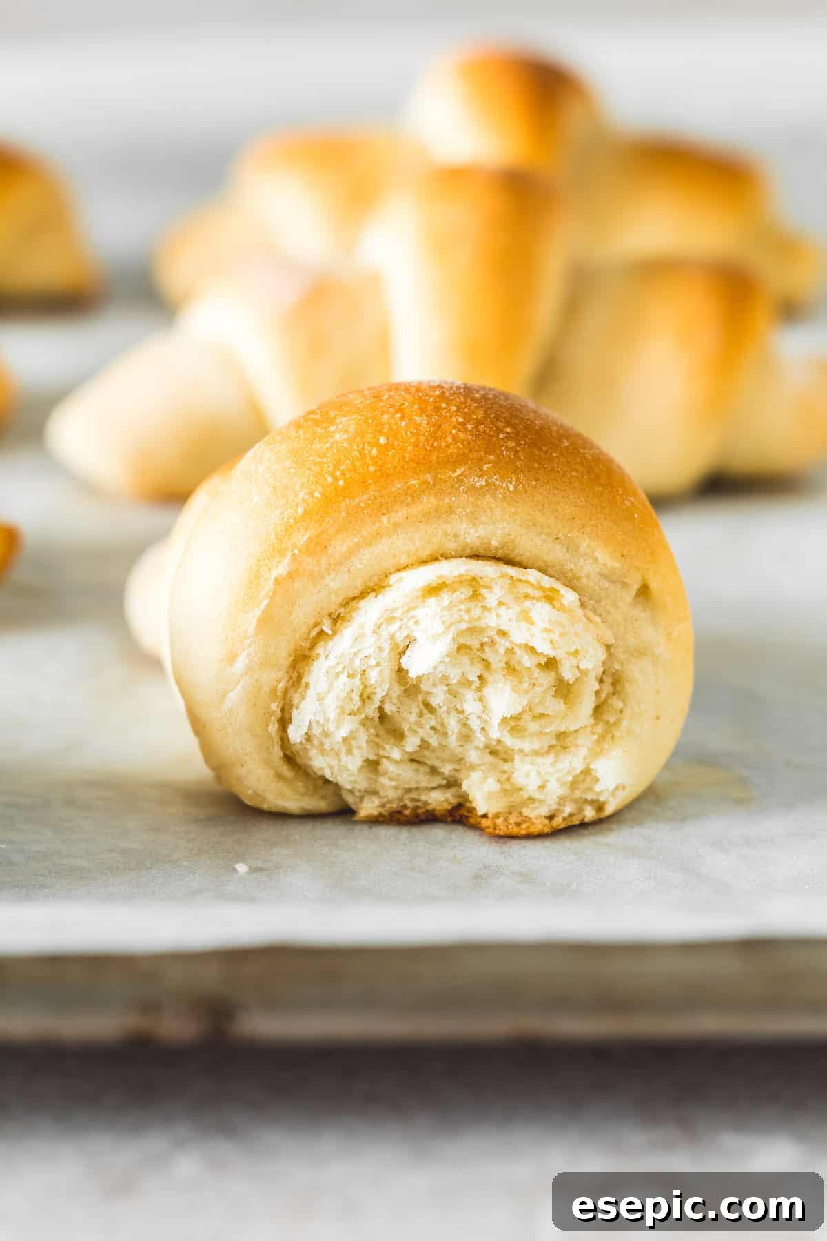 A side view of one crescent roll with an end broken off, revealing its soft, airy, and beautifully textured interior.