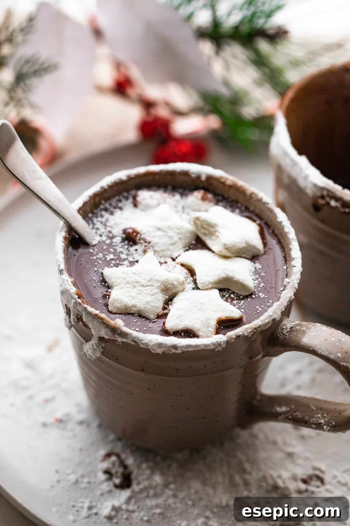 Parisian Hot Chocolate Indulgence 3 side shot of hot chocolate in a brown mug and topped with star shaped marshmallows and powdered sugar.