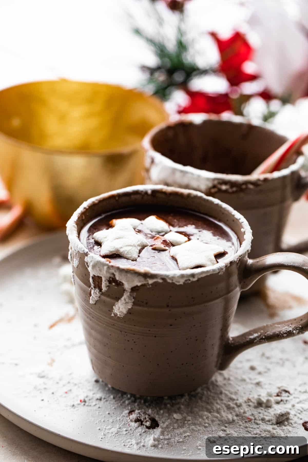 Parisian Hot Chocolate Indulgence 5 side shot of a brown mug filled with french hot chocolate and topped with marshmallows.