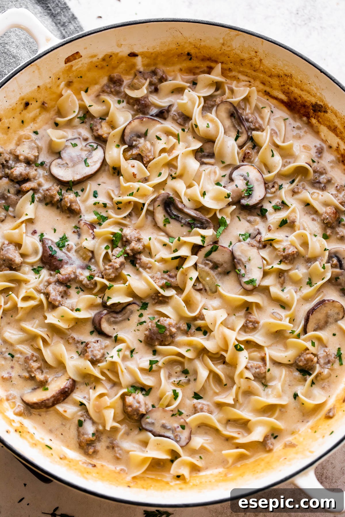 overhead shot of a white braiser filled with cream sauce, noodles, mushrooms, and beef.