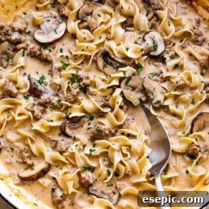 overhead shot of beef stroganoff with ground beef, noodles, and mushrooms.