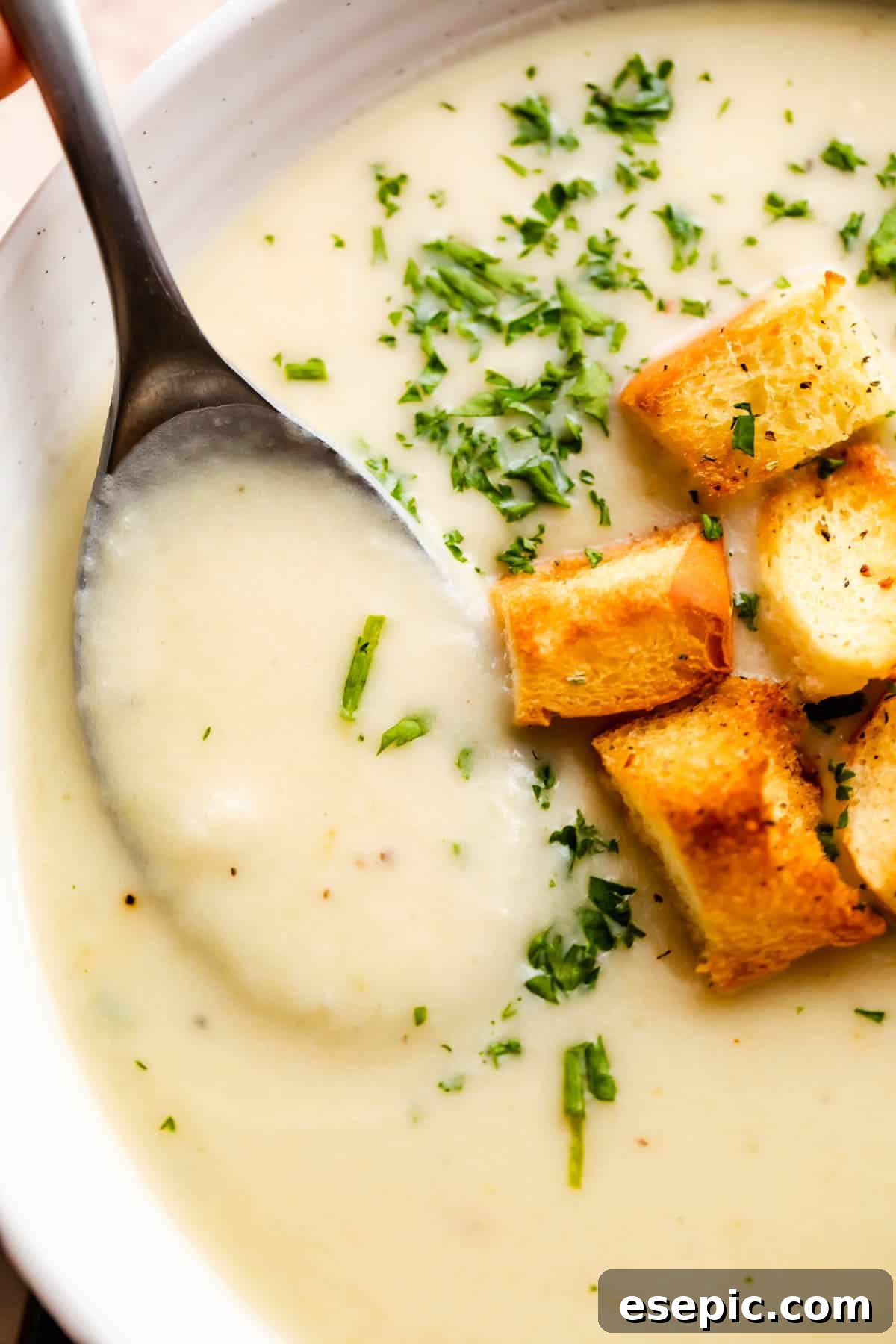 overhead close up shot of leek and potato soup served in a white bowl and garnished with croutons and chopped chives.