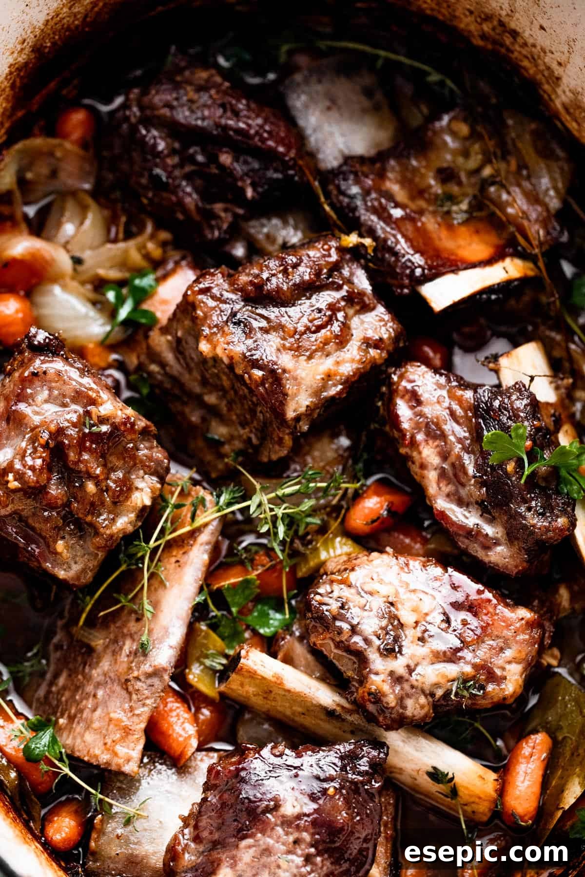 slow cooker braised short ribs arranged inside the slow cooker insert.