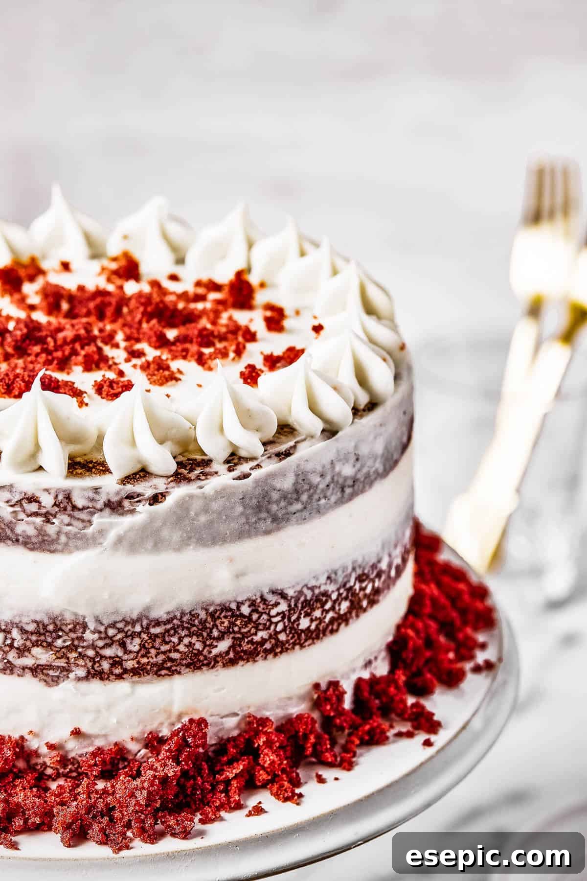 Decadent Red Velvet Dream 12 A beautifully frosted Red Velvet Cake decorated with a 'skirt' of cake crumbs around its base, highlighting its rustic charm.