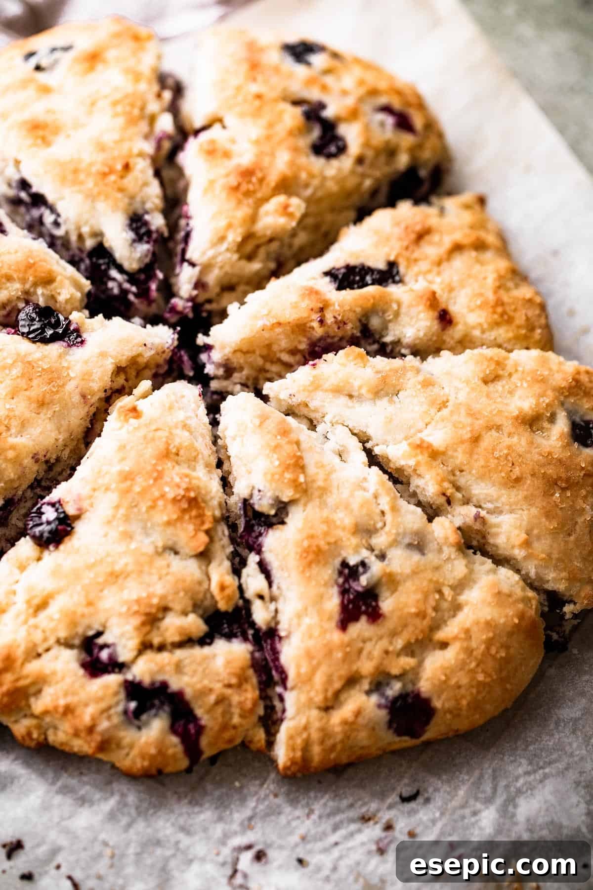These Blueberry Scones are deliciously moist and easy to make with real, wholesome ingredients. a round loaf cut into eight scones