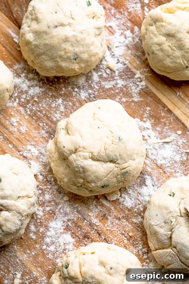 Smooth flatbread dough, perfectly kneaded and ready to be divided and rolled.