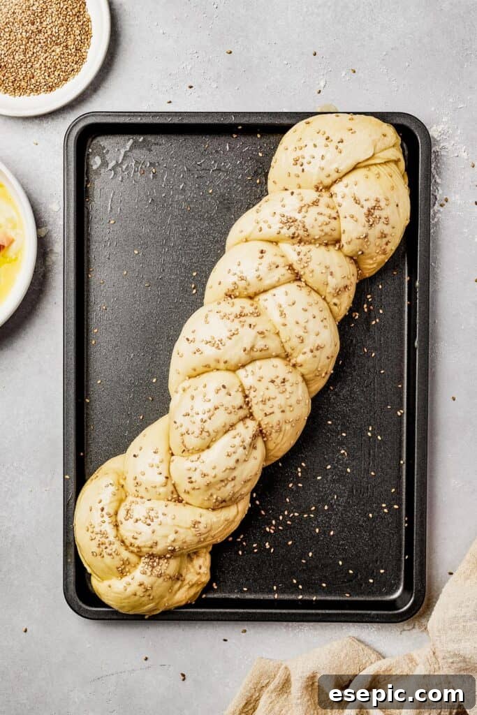 Fluffy, Golden, and Irresistible Challah Bread 9 Unbaked challah egg bread on a baking sheet, brushed with egg wash and sprinkled with sesame seeds before baking.