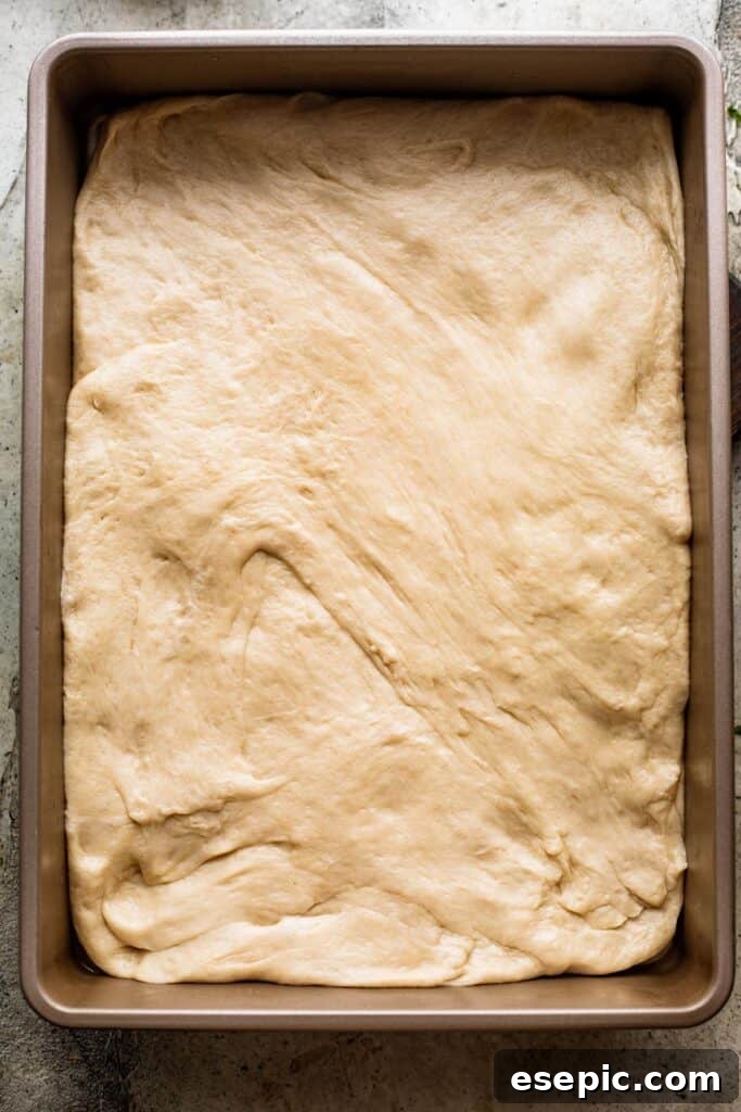Aromatic Garlic and Herb Focaccia 6 Bread dough gently pressed into a baking pan, ready for its second rise.