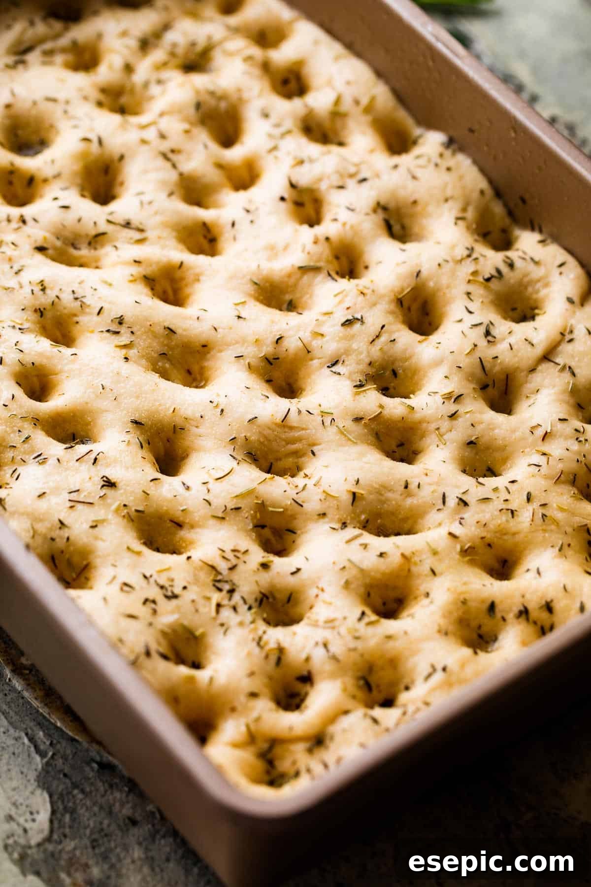 Aromatic Garlic and Herb Focaccia 7 A pan of unbaked focaccia dough, generously poked with finger holes and sprinkled with fresh herbs, ready for the oven.