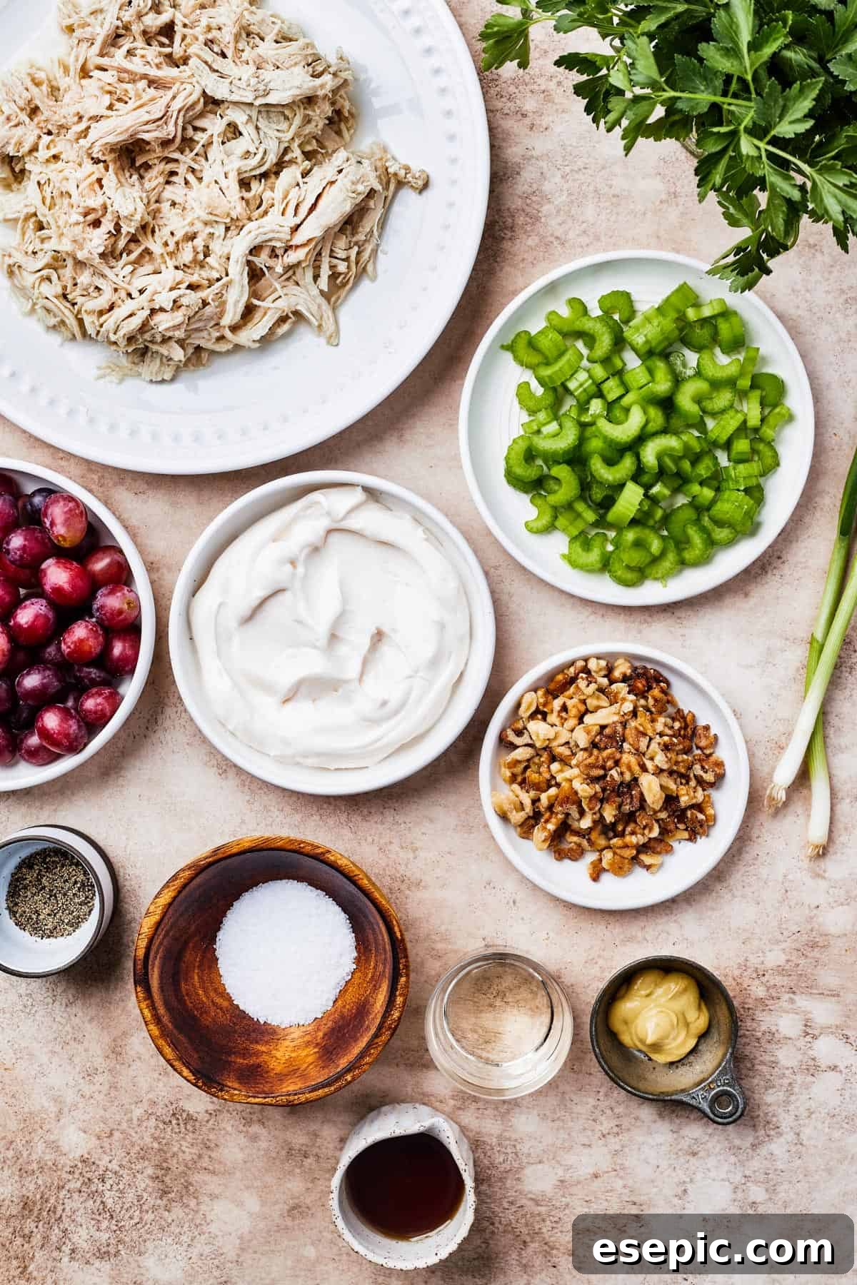 An array of ingredients for chicken salad, including shredded chicken, grapes, celery, mayonnaise, walnuts, and seasonings.