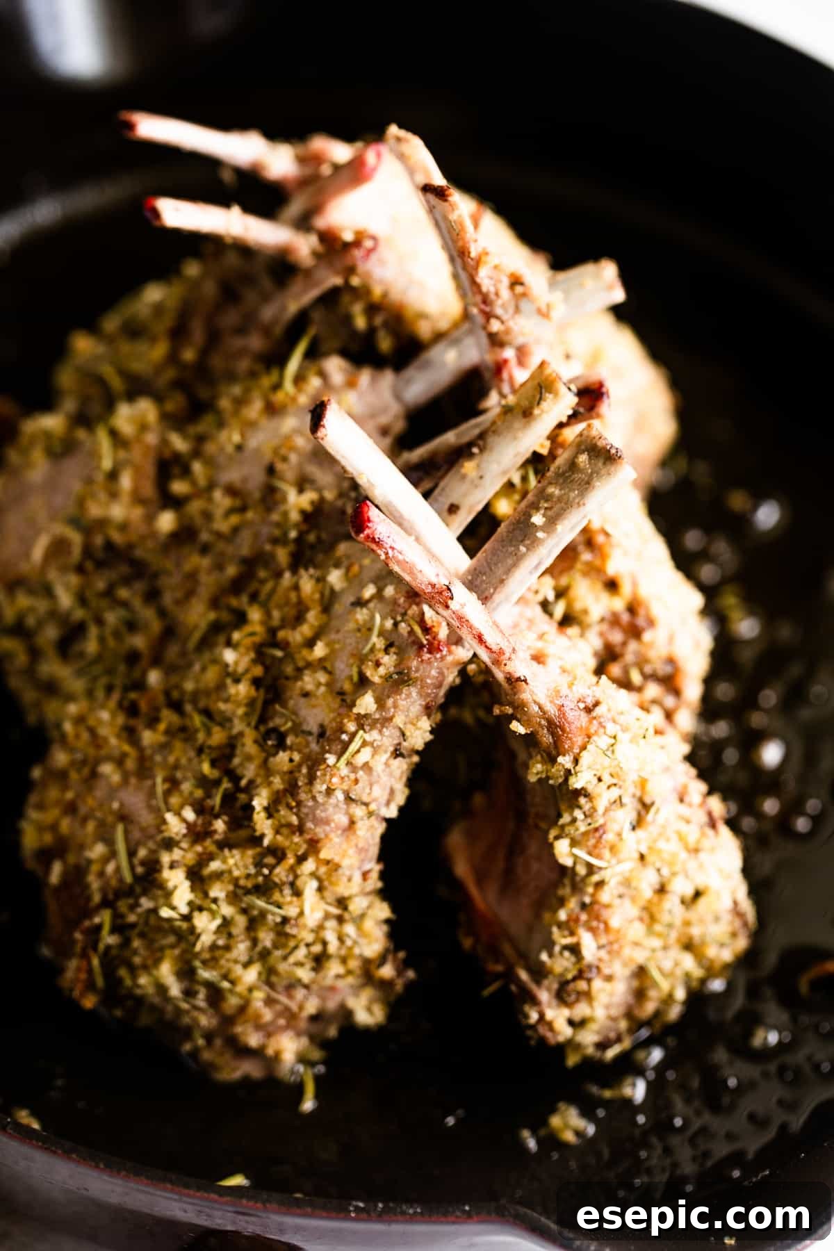 The Definitive Rack of Lamb 4 cooked frenched rack of lamb.