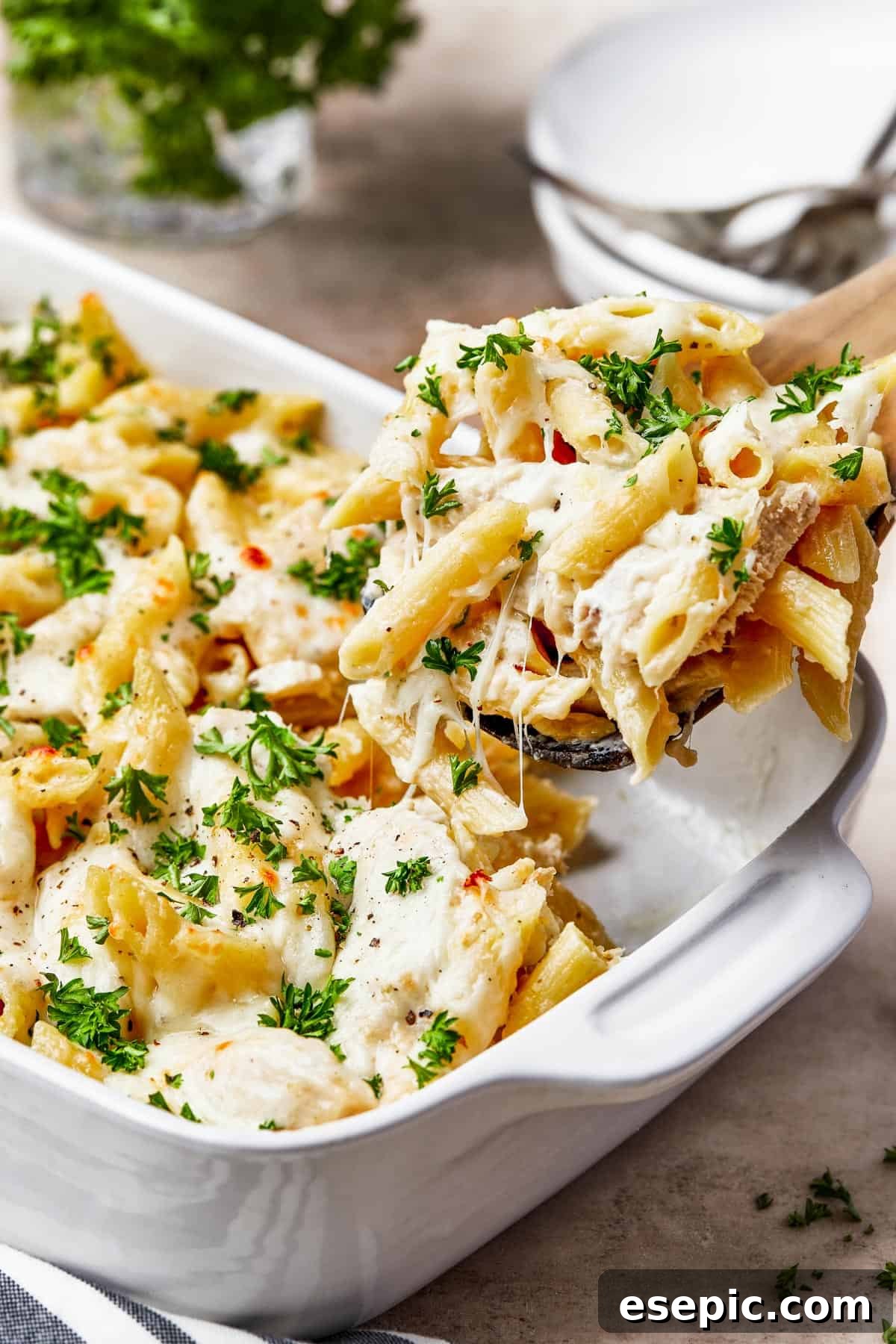 Chicken alfredo pasta being scooped out of a casserole dish. A serving spoon lifts a generous portion of cheesy, creamy pasta and chicken, showcasing the golden-brown melted mozzarella on top.