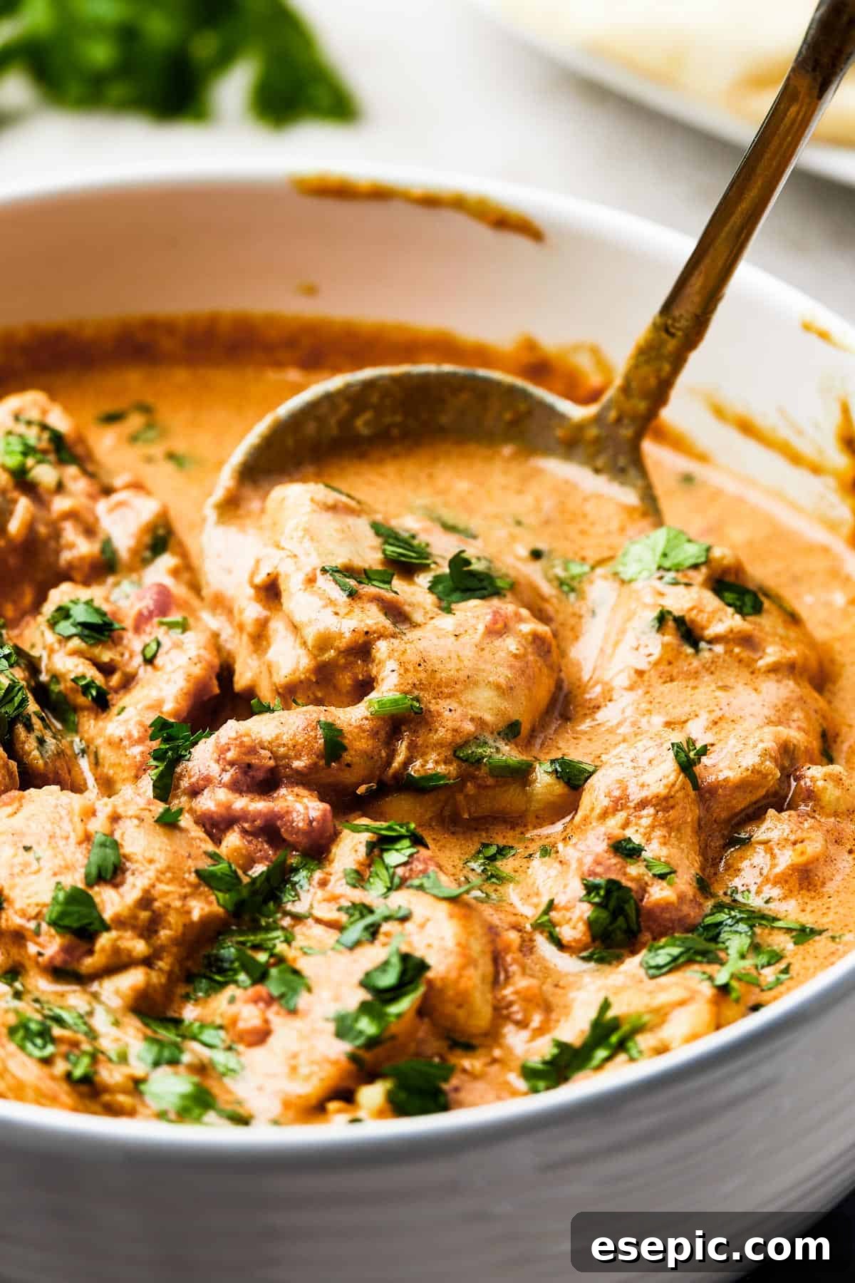 A close-up shot of Indian Butter Chicken in a pristine white dish, showcasing the tender chicken texture and the rich, creamy sauce.