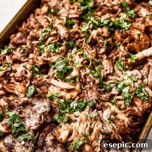 Crispy pork carnitas, garnished with fresh cilantro.