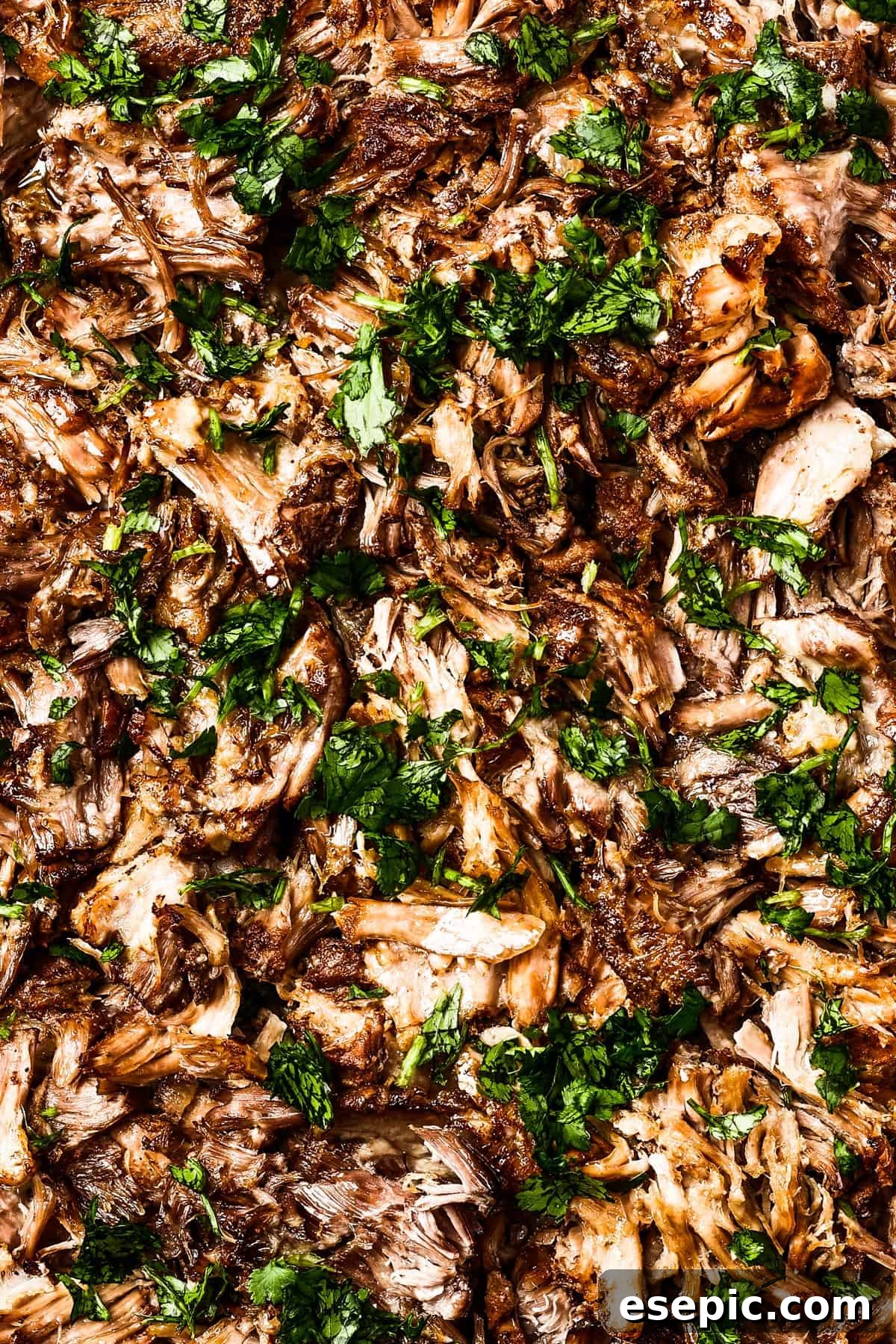 Crispy pork carnitas, generously garnished with fresh cilantro, ready to be served.