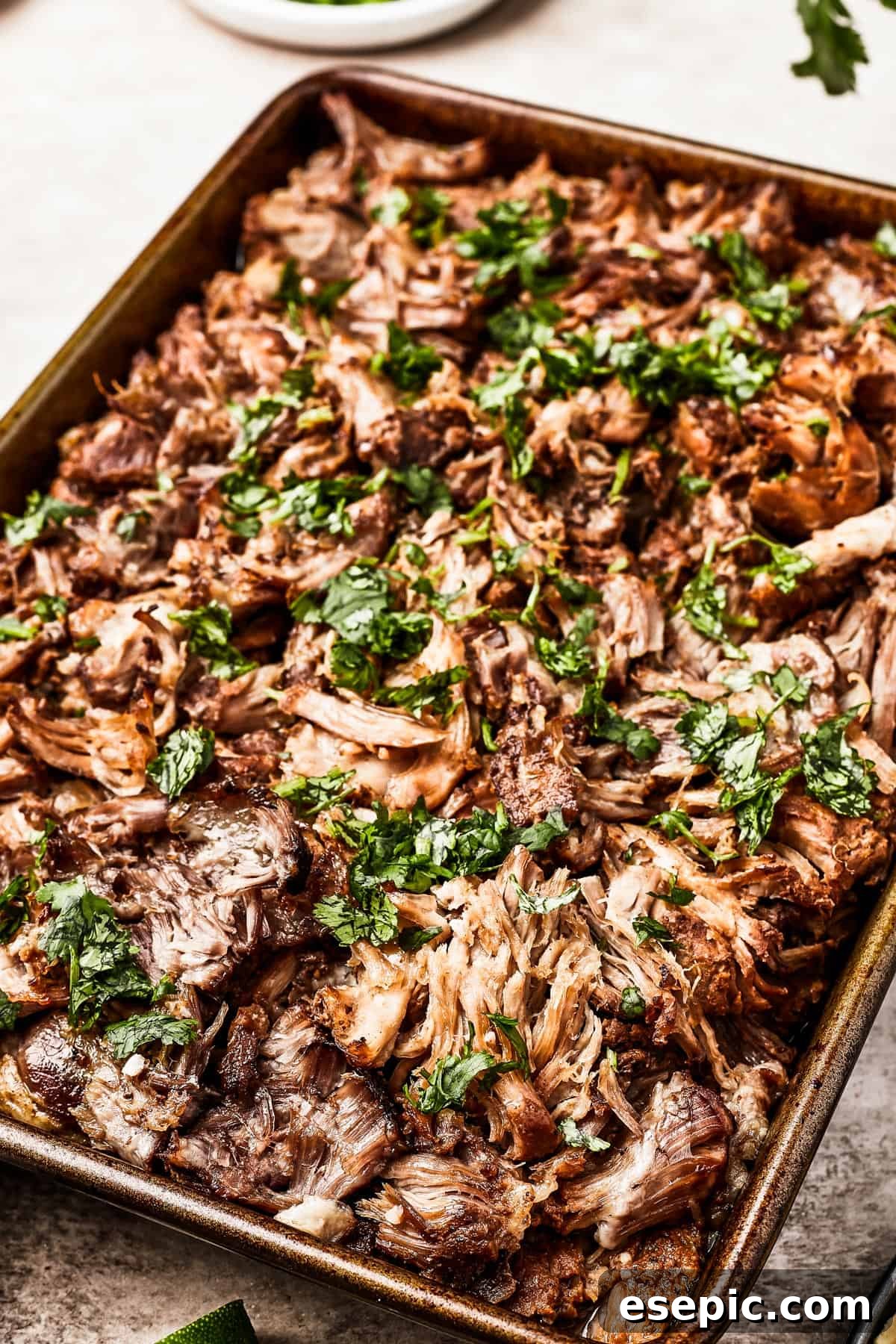 A generous serving of crispy pork carnitas, beautifully garnished with fresh cilantro.