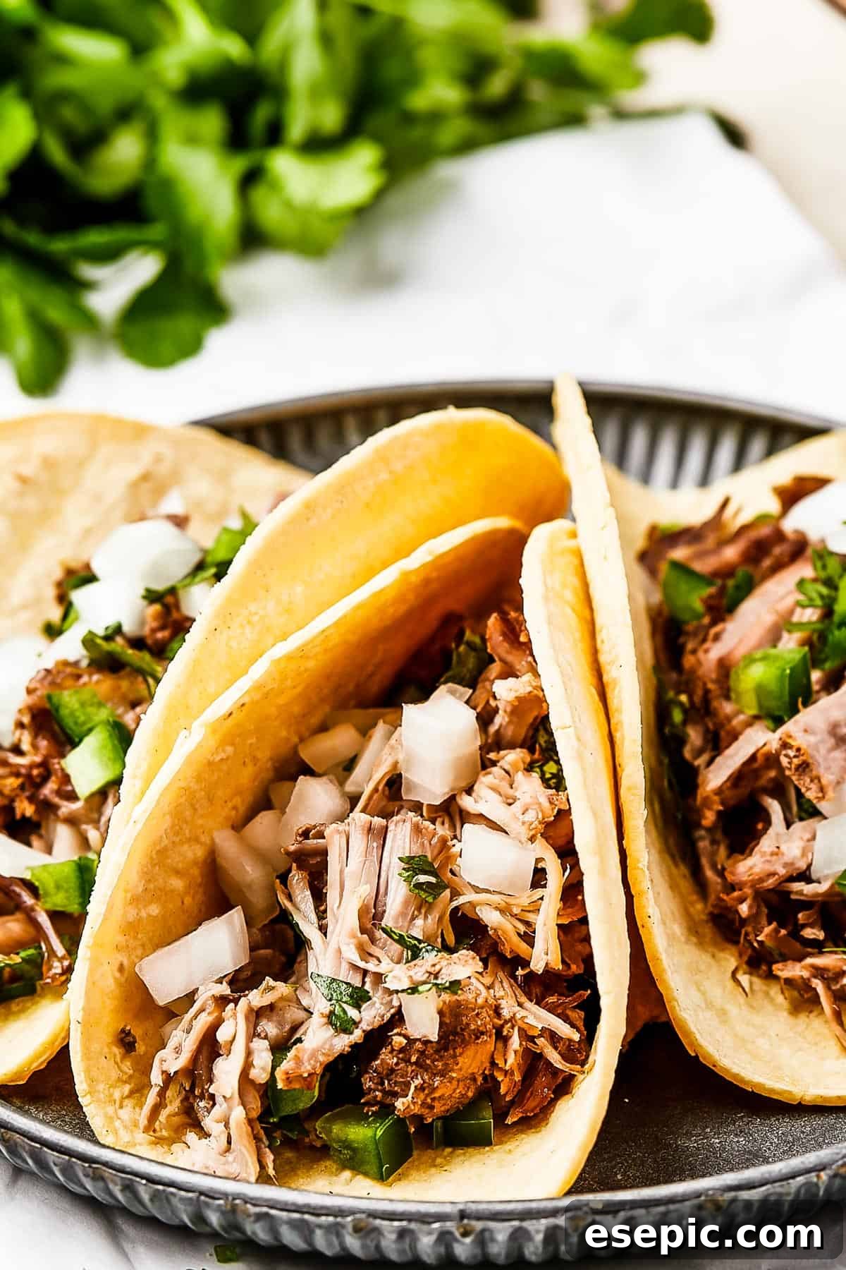 Close-up shot of three beautifully prepared pork tacos with onion and herbs, showcasing the succulent filling.