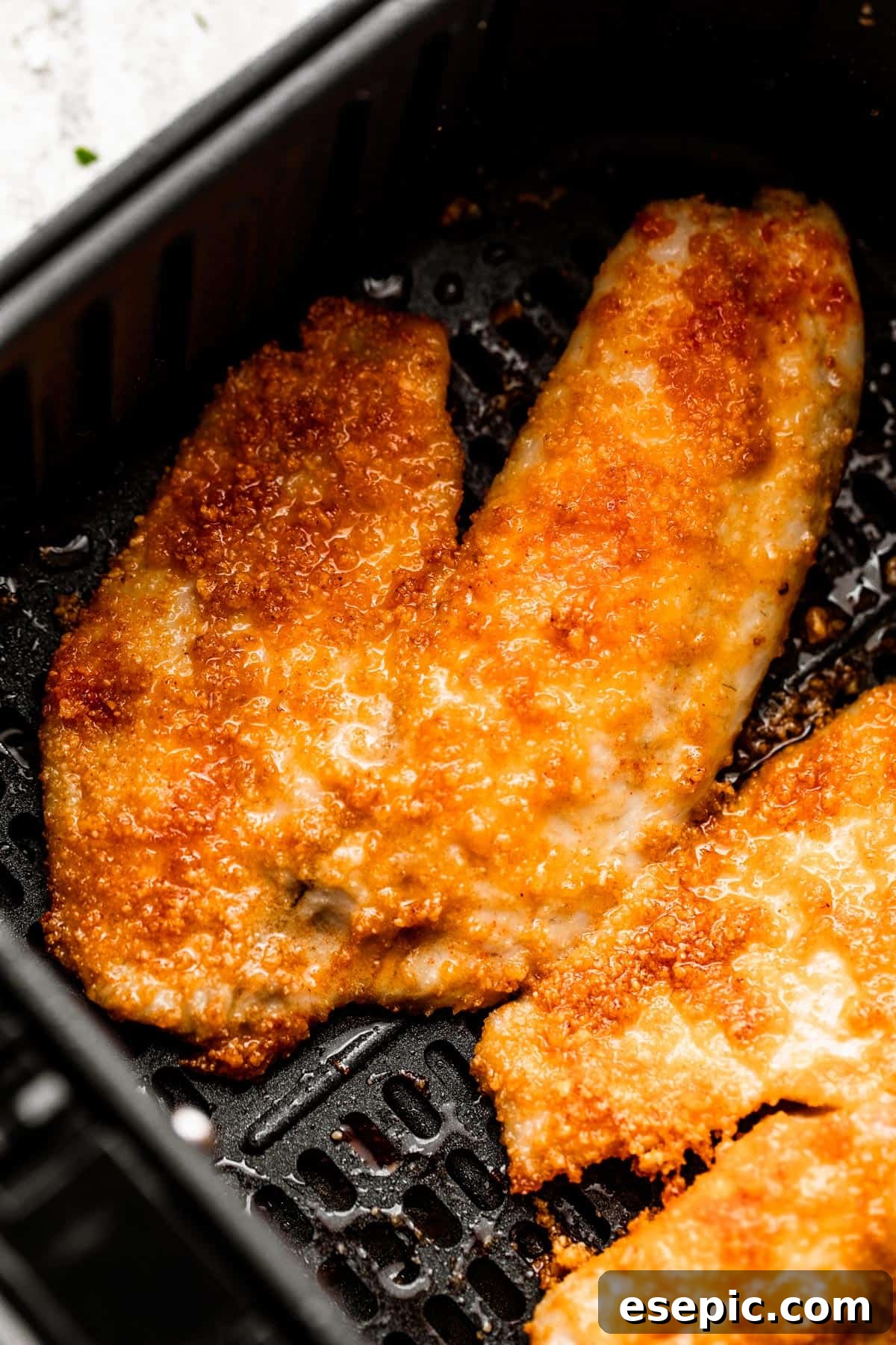 Two golden-brown, cooked tilapia fillets arranged neatly in a single layer inside a black air fryer basket.