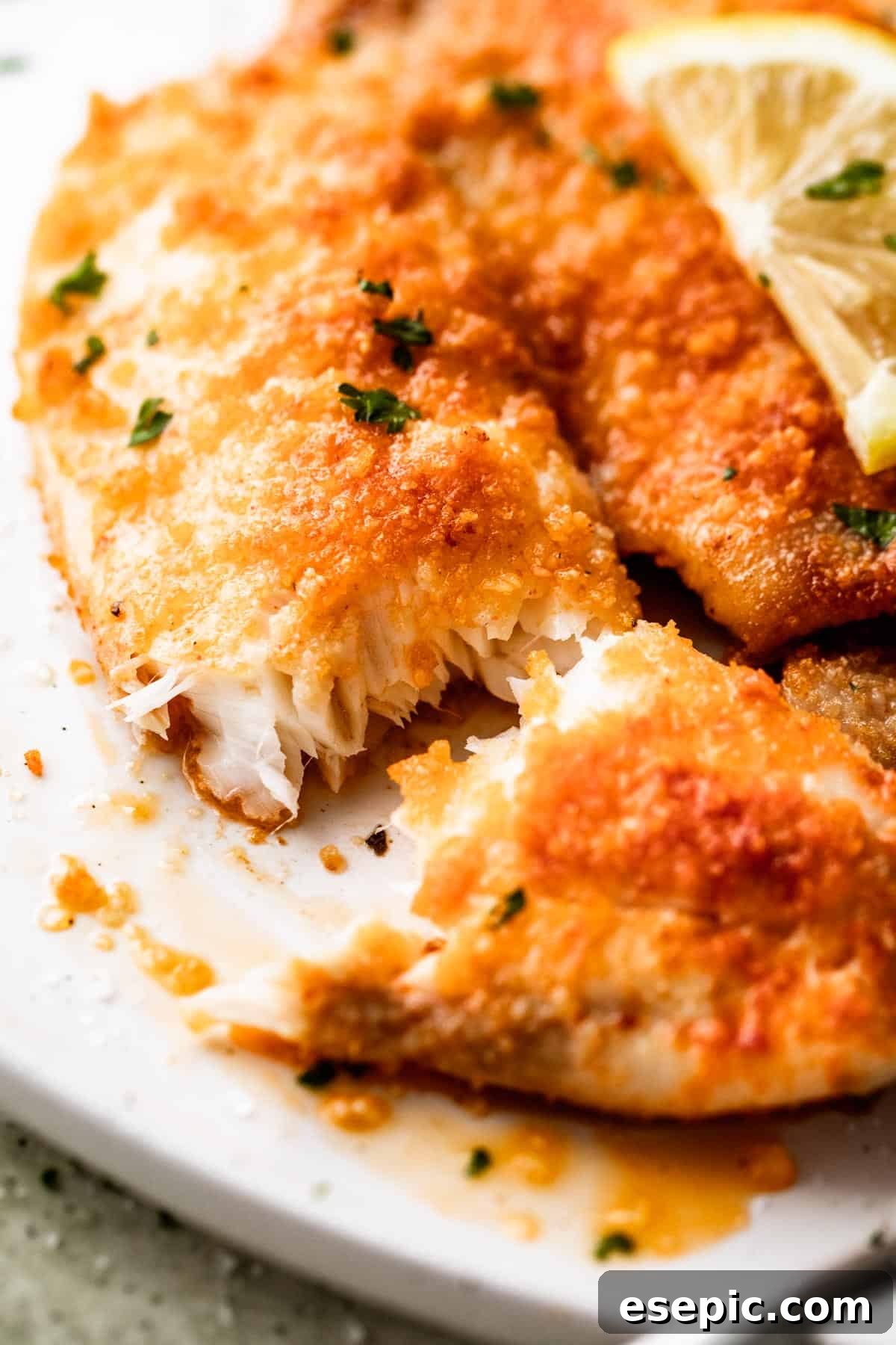 An extreme close-up shot of a perfectly cooked air fryer Parmesan crusted tilapia fillet, highlighting its golden, crispy texture.