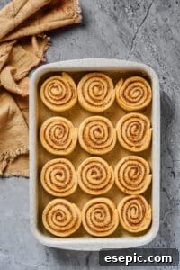Precisely sliced, unbaked cinnamon buns, neatly lined up in a metal baking dish, ready for their second rise and baking.