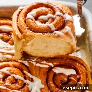 A cinnamon bun lifted from a pan, to show the texture of the torn side of the roll.