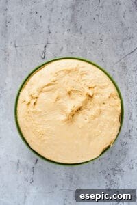 Yeast dough that has beautifully risen, almost to the top of its bowl, indicating a successful proofing.