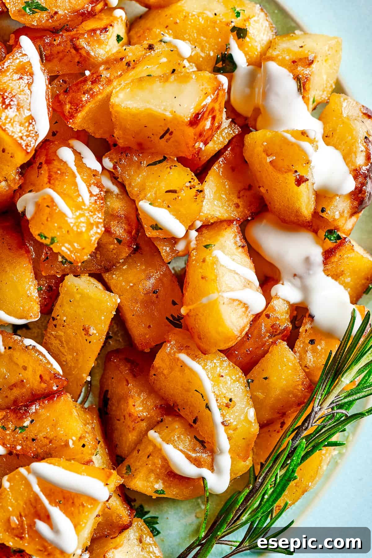 Close-up shot of perfectly roasted seasoned potatoes garnished with fresh rosemary and a side of creamy yogurt sauce.