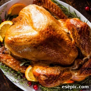 A roasted Thanksgiving turkey garnished with citrus slices and green herbs.