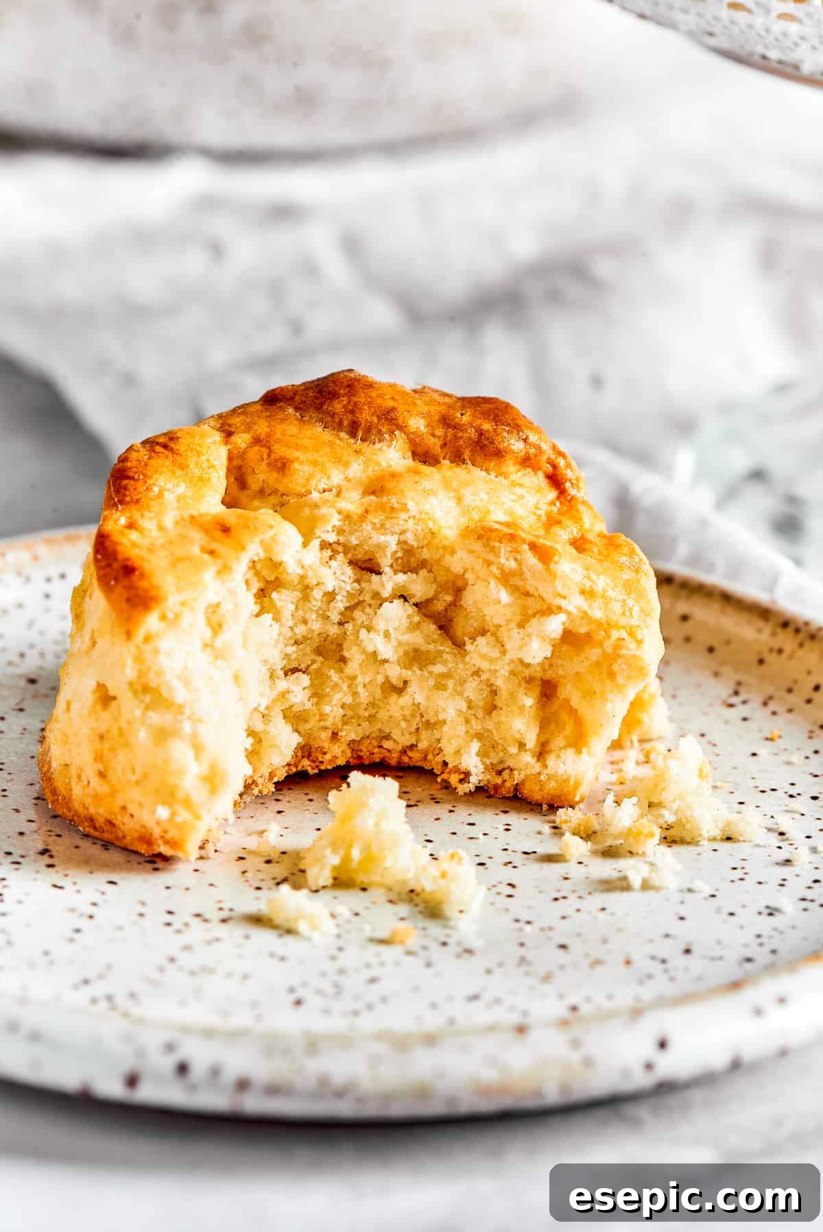 A biscuit with a bite taken out of it, on a small plate.