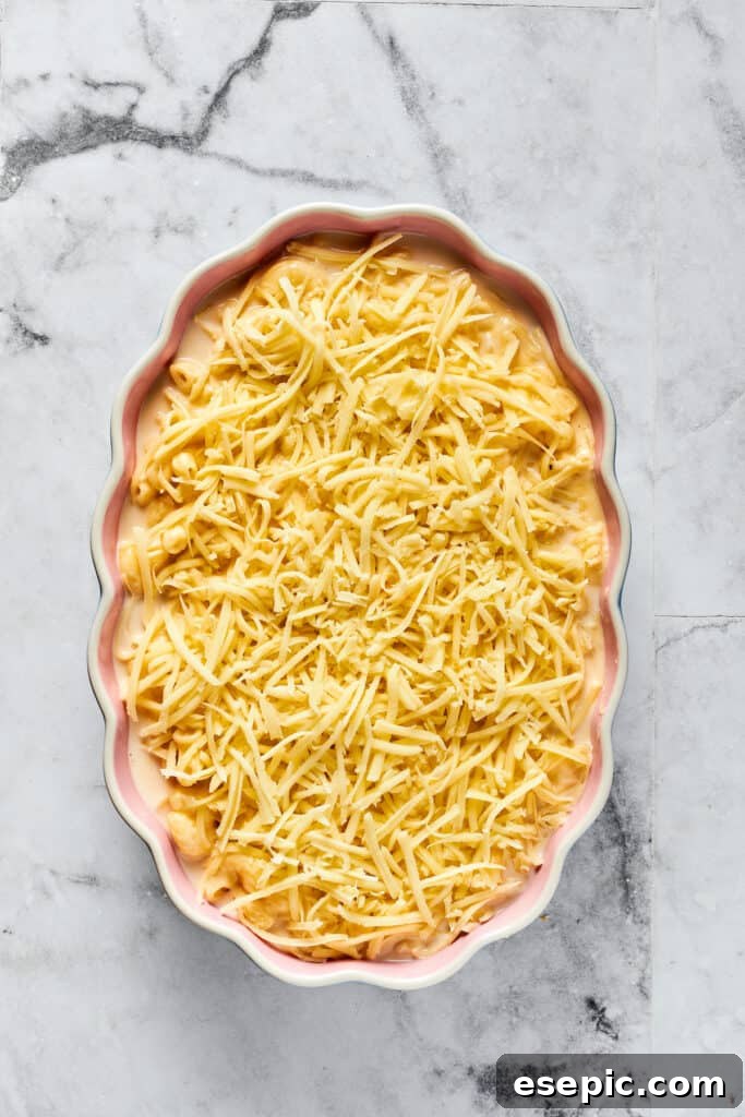 Unbaked macaroni topped with shredded mozzarella.