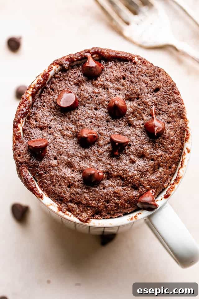 A delectable chocolate mug cake, fresh from the microwave, adorned with a scattering of chocolate chips.