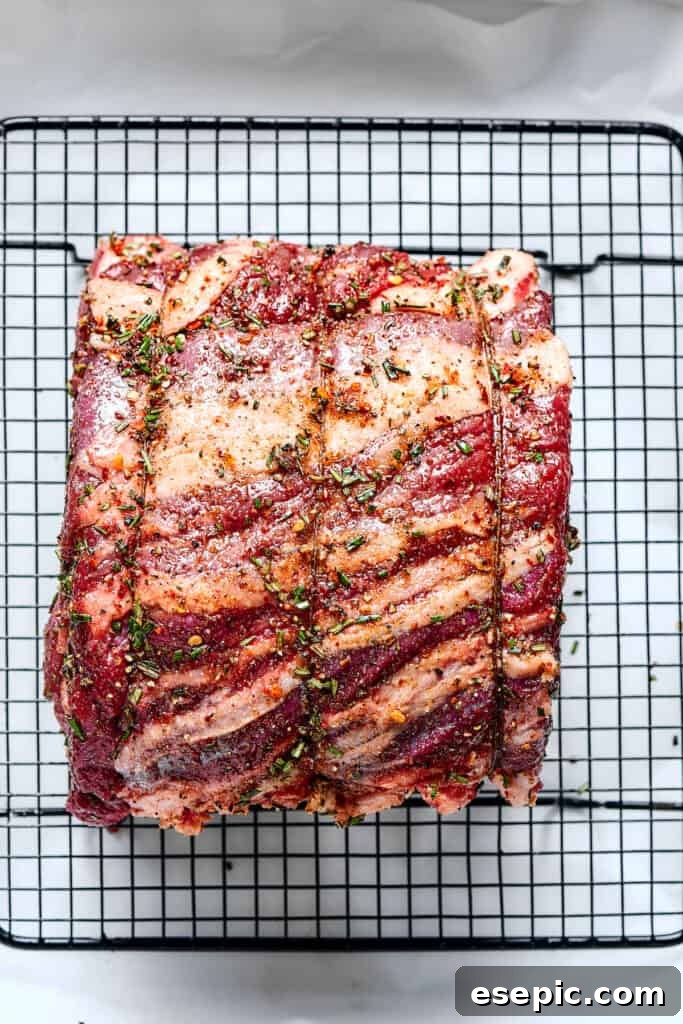 A tied rib roast carefully placed onto a wire rack within a roasting pan.