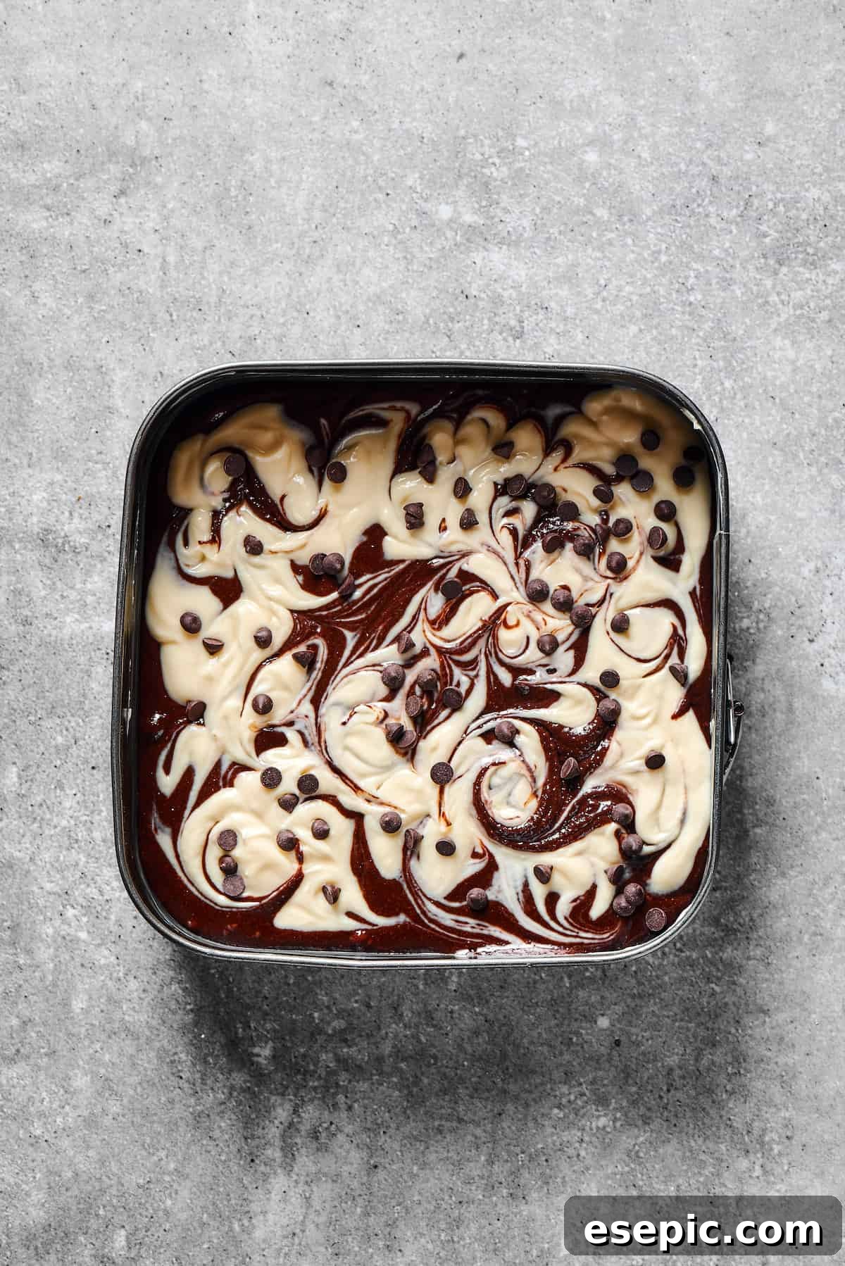 Baked cheesecake brownies topped with chocolate chips, ready for serving.