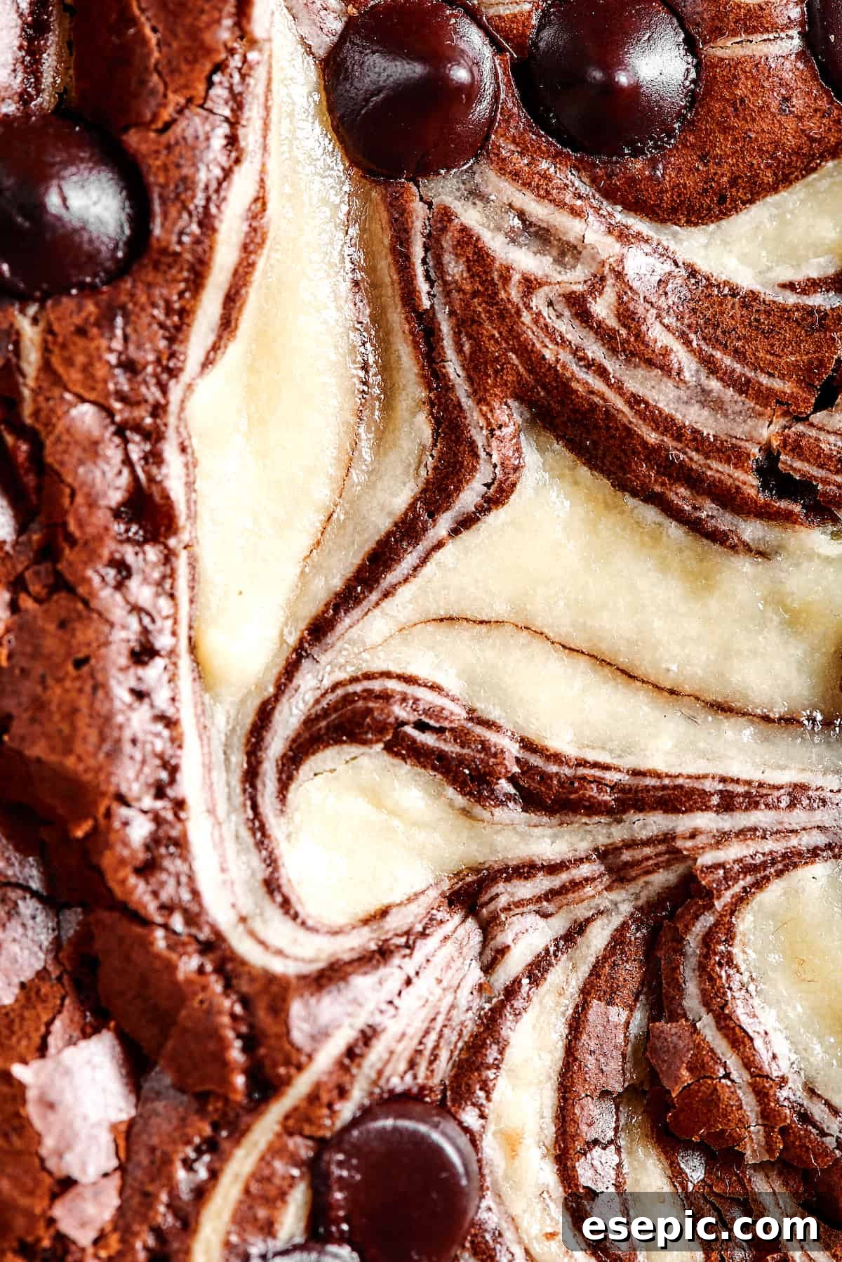 Close-up shot of a brownie swirled with cream cheese filling, highlighting its texture.