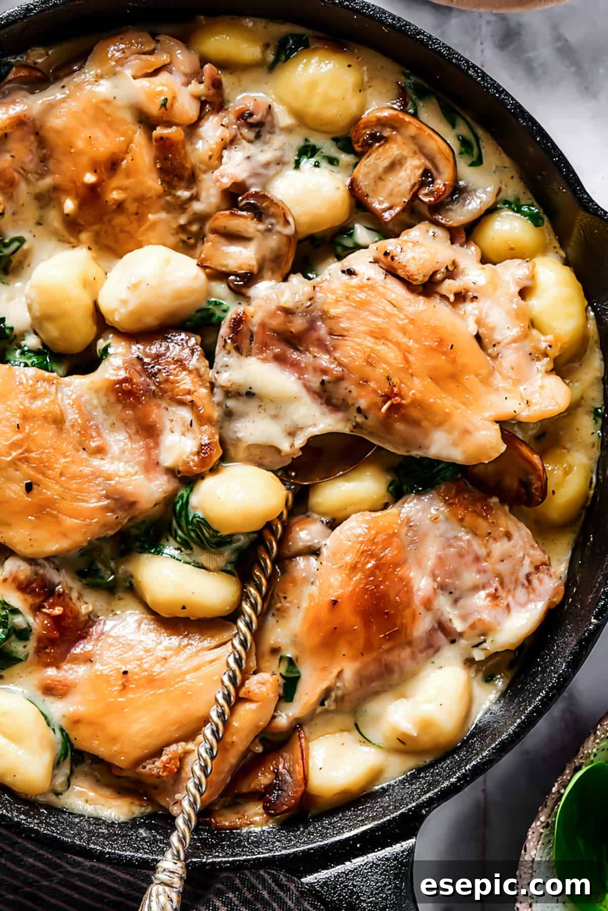 Creamy Chicken & Gnocchi - Close-up Close-up shot of chicken cooked with a creamy vegetable sauce, showcasing the rich texture.