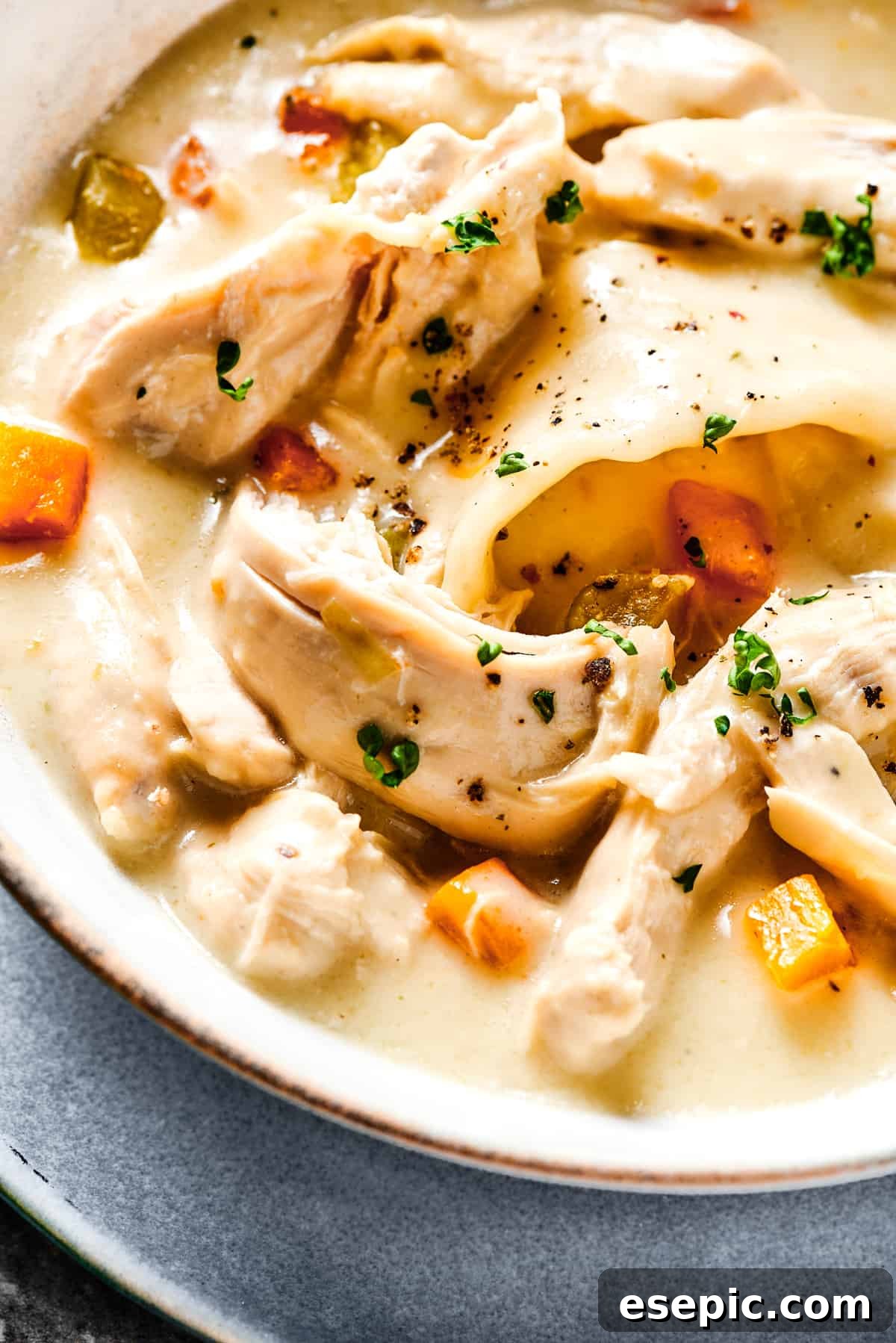 Southern-style Chicken and Dumplings are made with soft rolled dumplings, a rich, creamy broth, with tender pieces of white meat chicken. img 15212 13