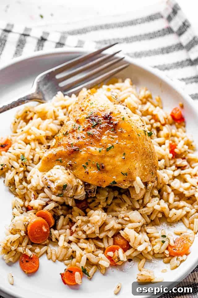 A serving of crispy-skinned chicken thighs and creamy rice with colorful vegetables on a white plate, ready to be savored.