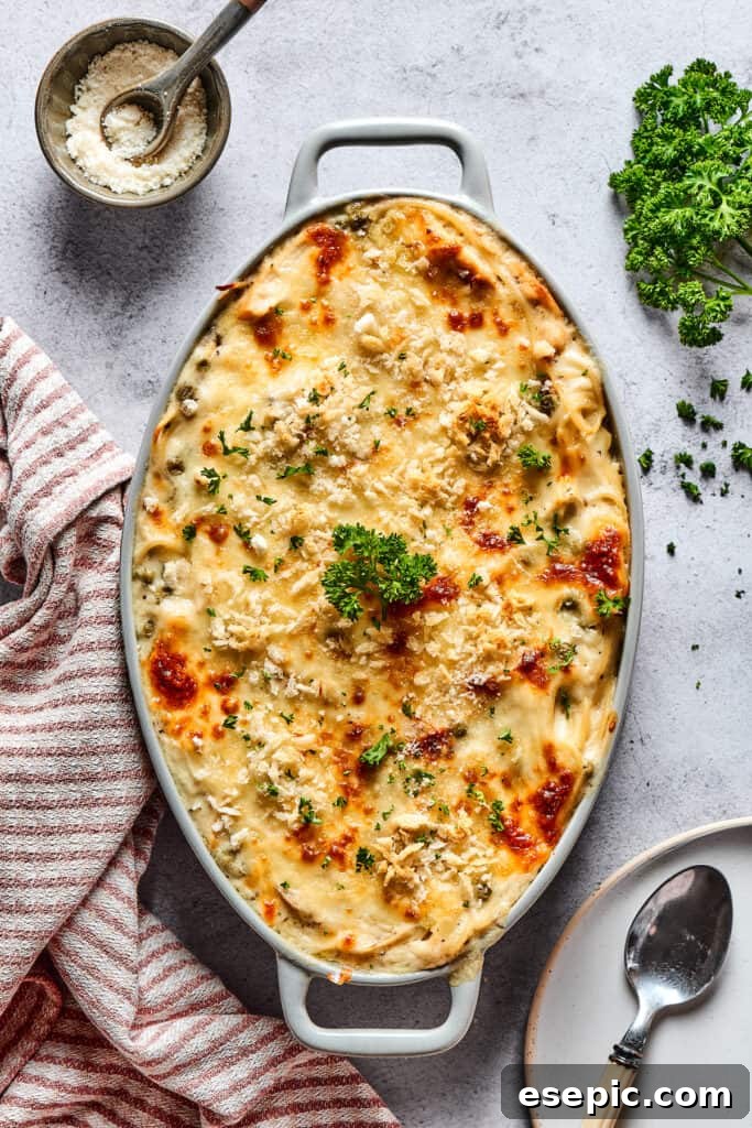 A freshly baked chicken tetrazzini casserole with a golden, bubbly cheese topping, straight from the oven.