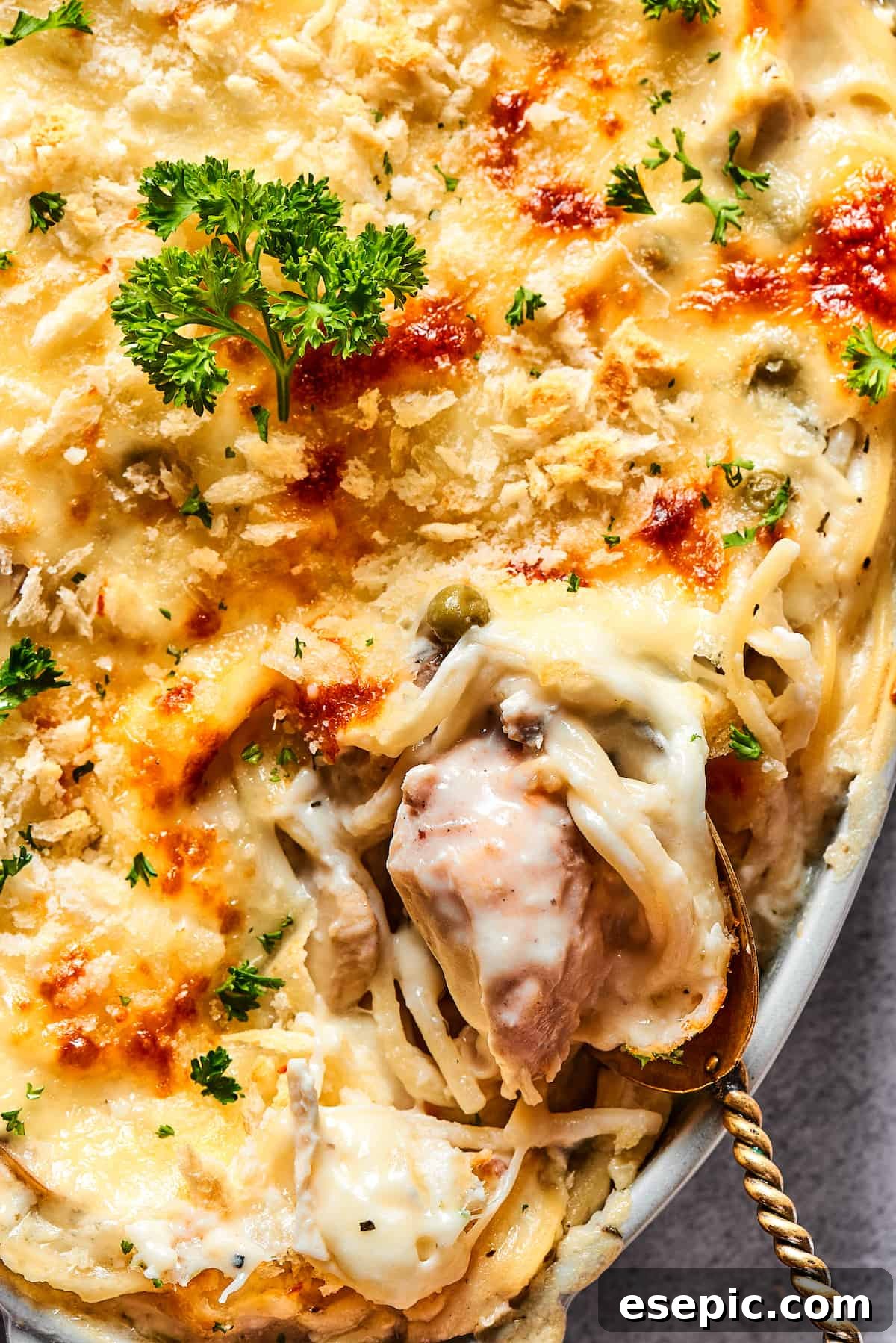 A serving spoon lifting a portion of creamy chicken tetrazzini out of a dish, showing the rich texture and melted cheese.