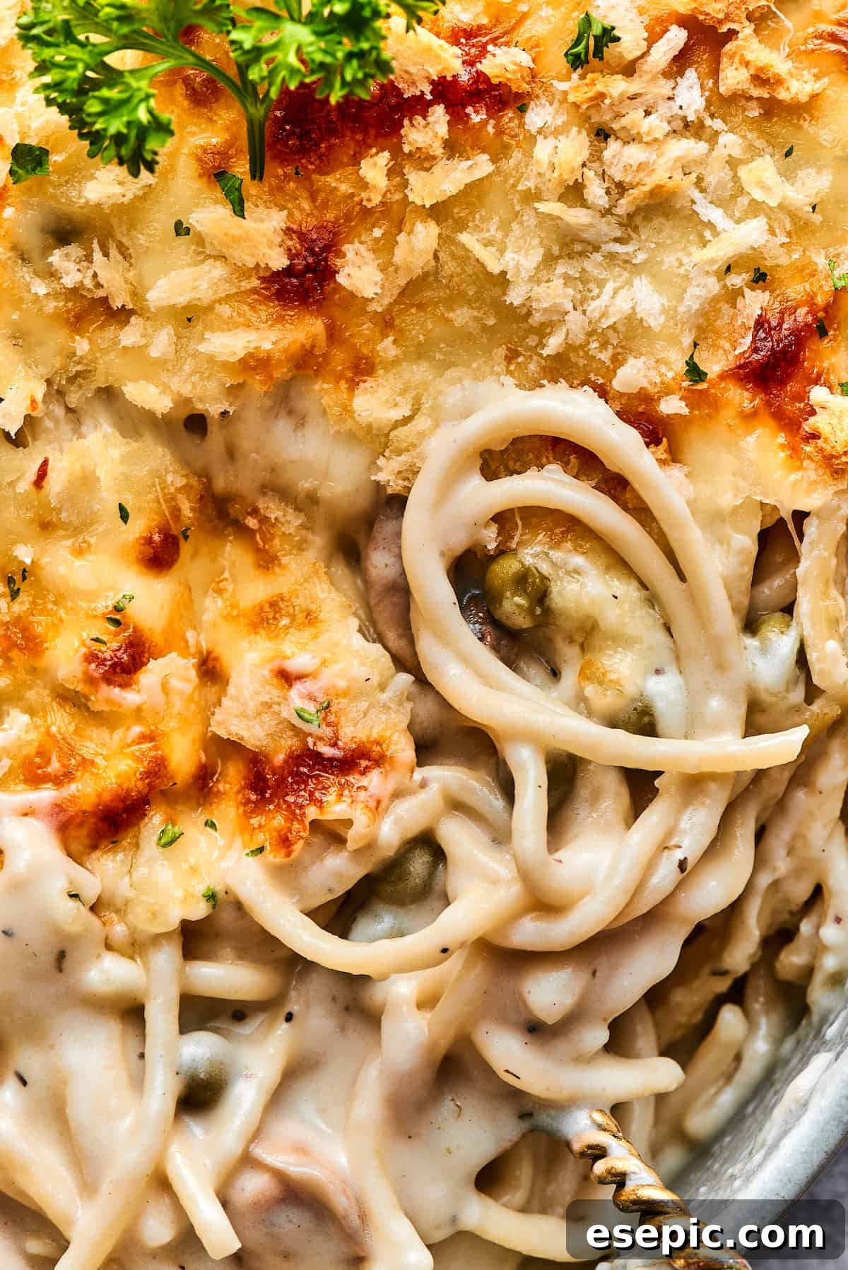A close-up shot of golden-brown chicken tetrazzini casserole with melted cheese topping, fresh from the oven.