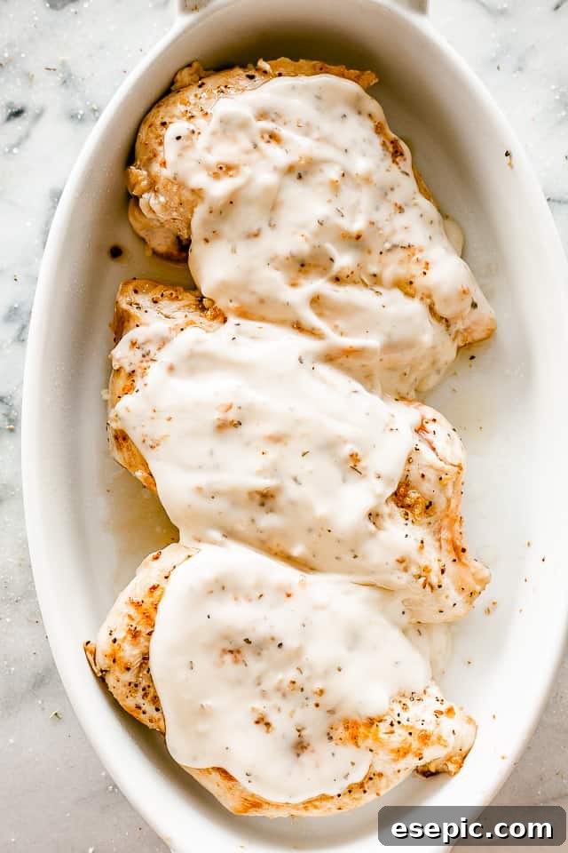 Golden-brown, perfectly baked Caesar chicken breasts, glistening with melted cheese and creamy dressing, nestled in a white baking dish.