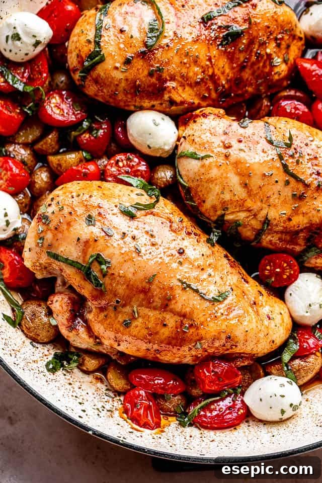 Sticky Balsamic Chicken and Roasted Potatoes 6 top close up shot of chicken breasts brushed with balsamic vinegar and set next to cherry tomatoes, mozzarella cheese balls, and garnish of basil
