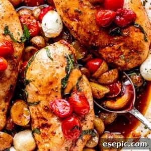 top view of balsamic baked chicken breasts topped with fresh basil, tomatoes, and mozzarella cheese balls